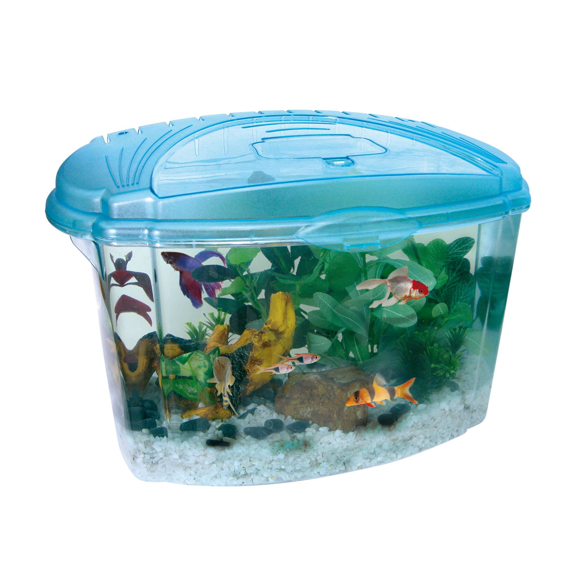 Acuario AQUA ZOO — ICA S.A.