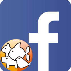 Facebook ICA