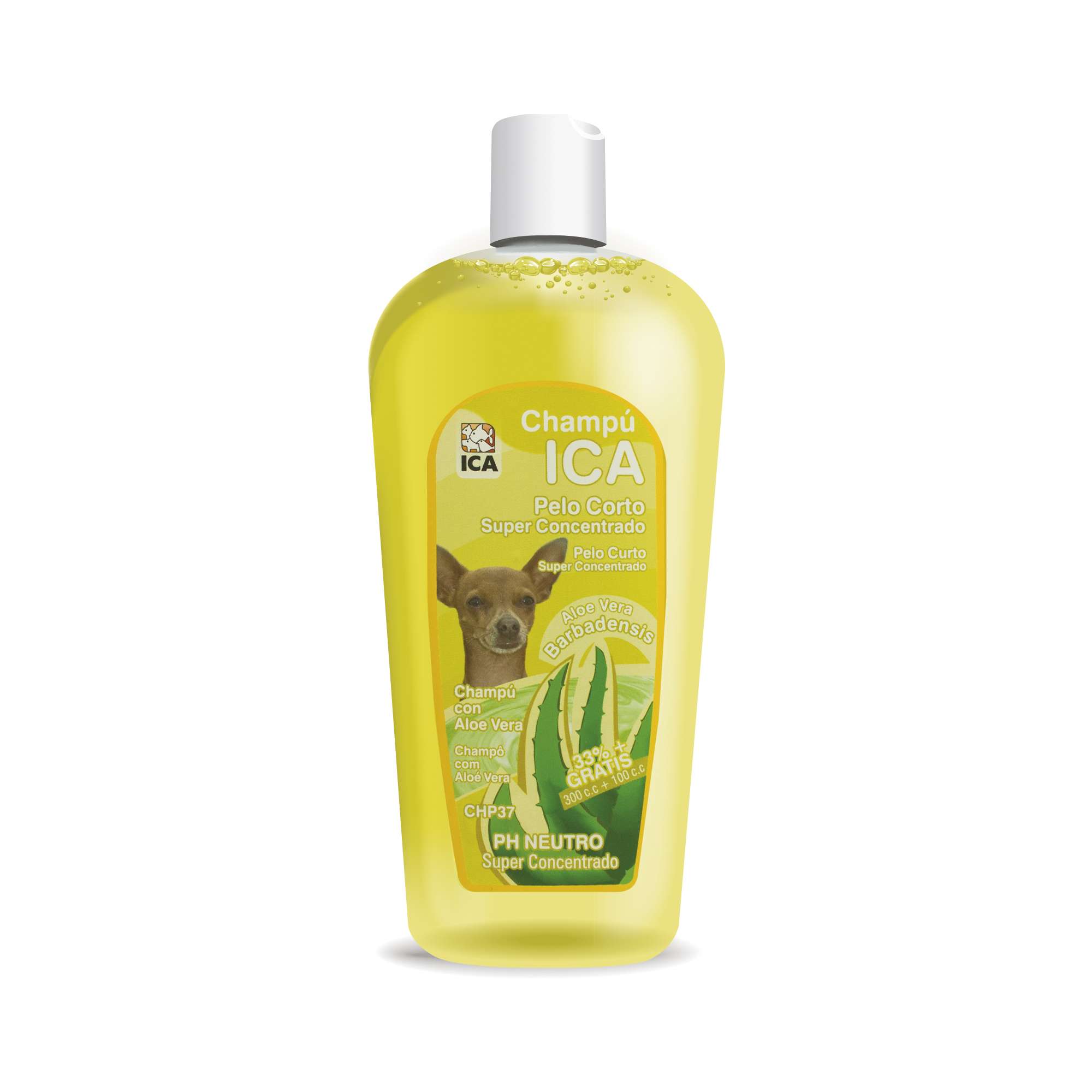 shampoo de aloe vera casero para perros