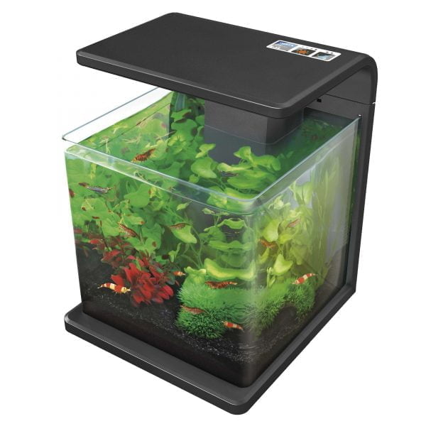 e15n-nano-acuario-biotop-deluxe-natur-15-l_general_1715.jpg