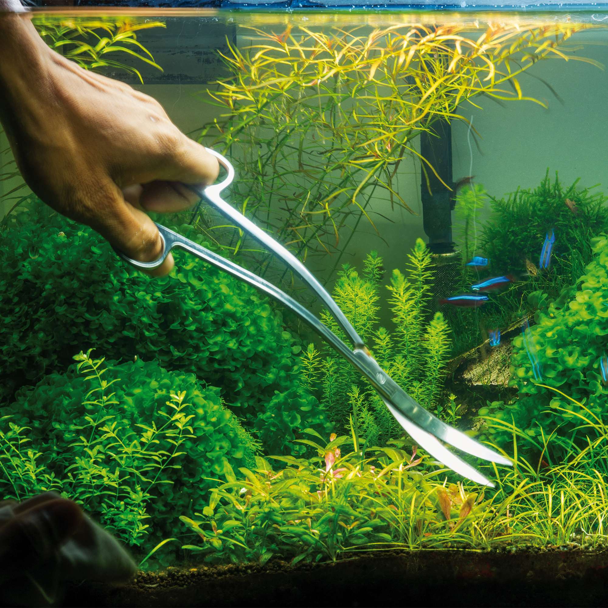 Set Aquascaping 5 acc. Magic-Tools ICA - Faunamic