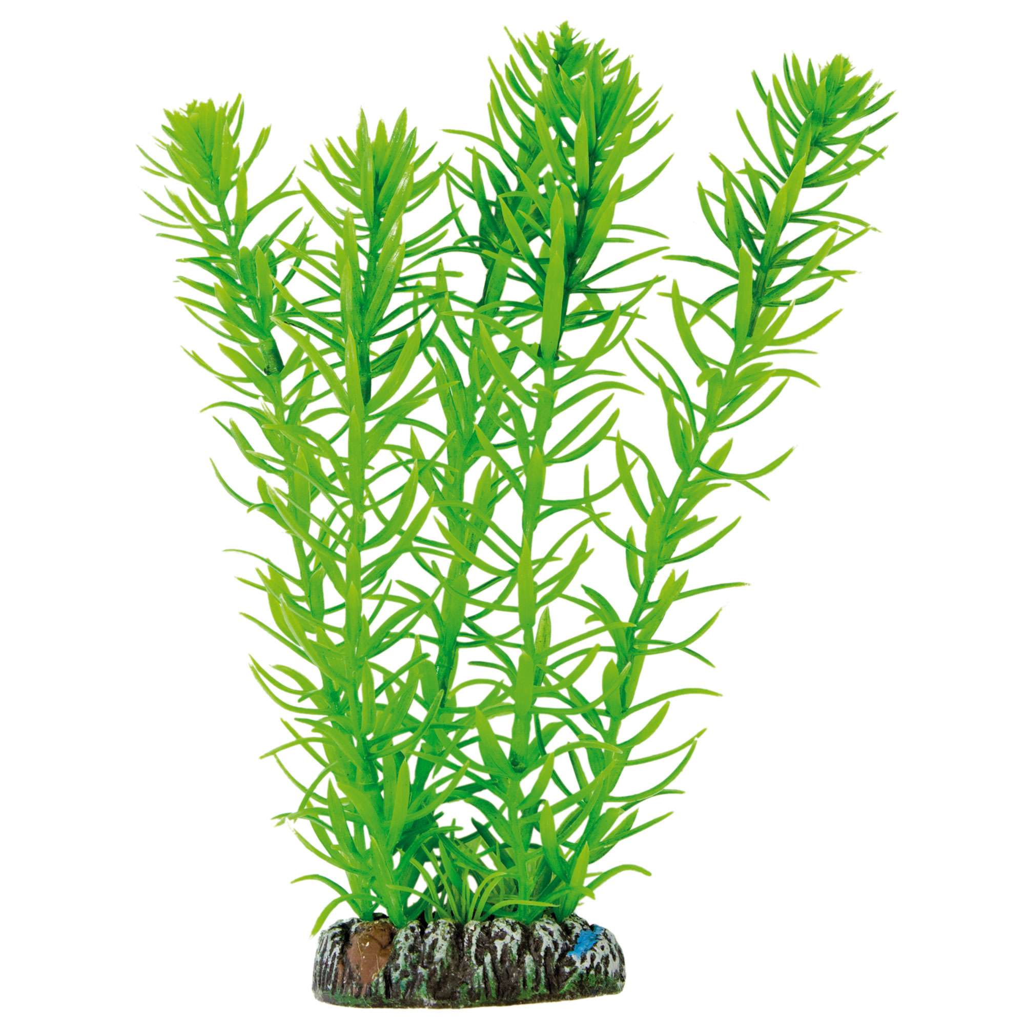 Egeria de AQUATIC PLANTS (PLÁSTICO) (20 cm) — ICA S.A.