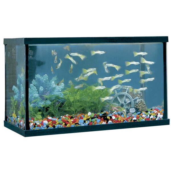 khp8-kit-acuario-happy-pez-8-l_general_2950.jpg