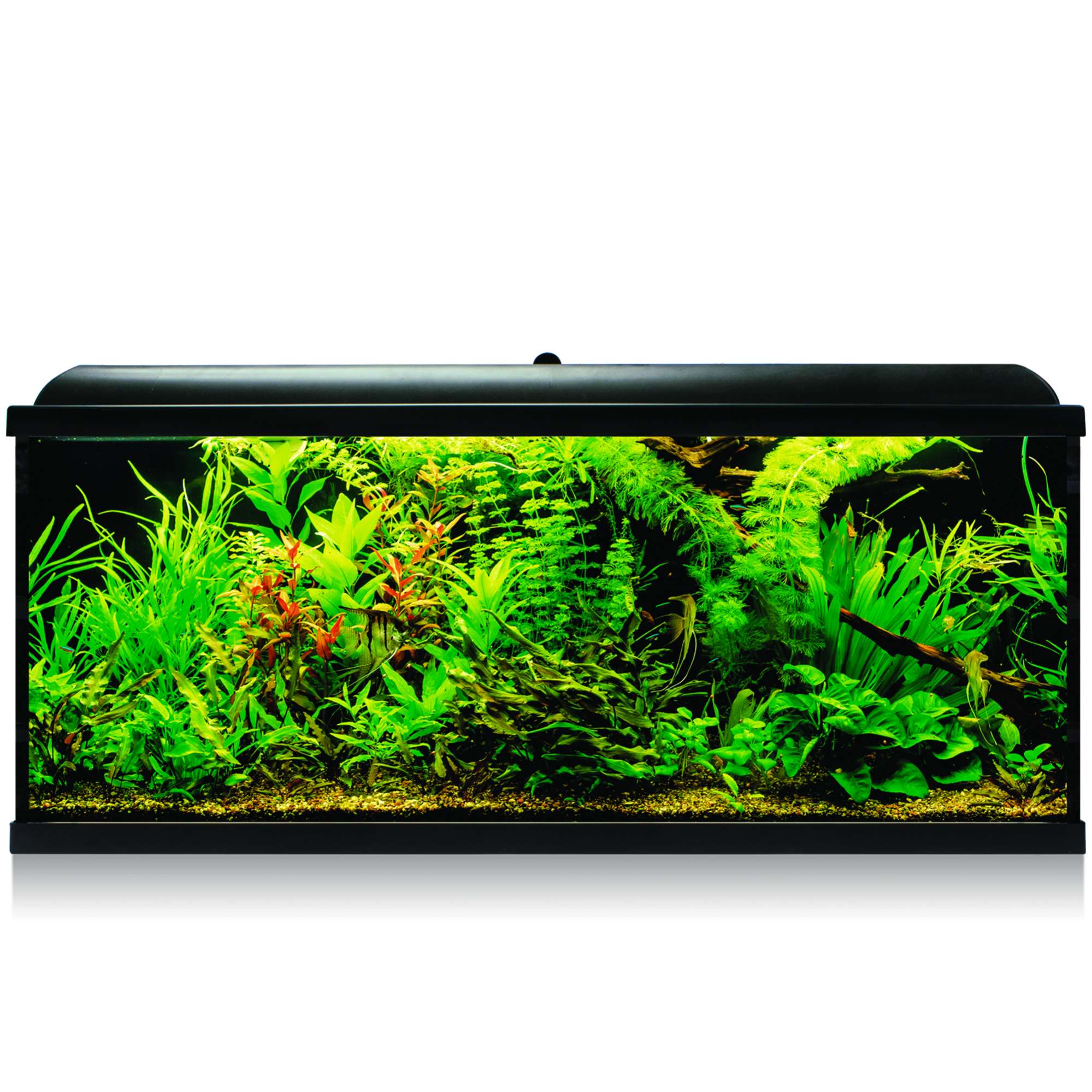 Kit AQUA-LED PRO 240 con filtro exterior (240 l) — ICA S.A.