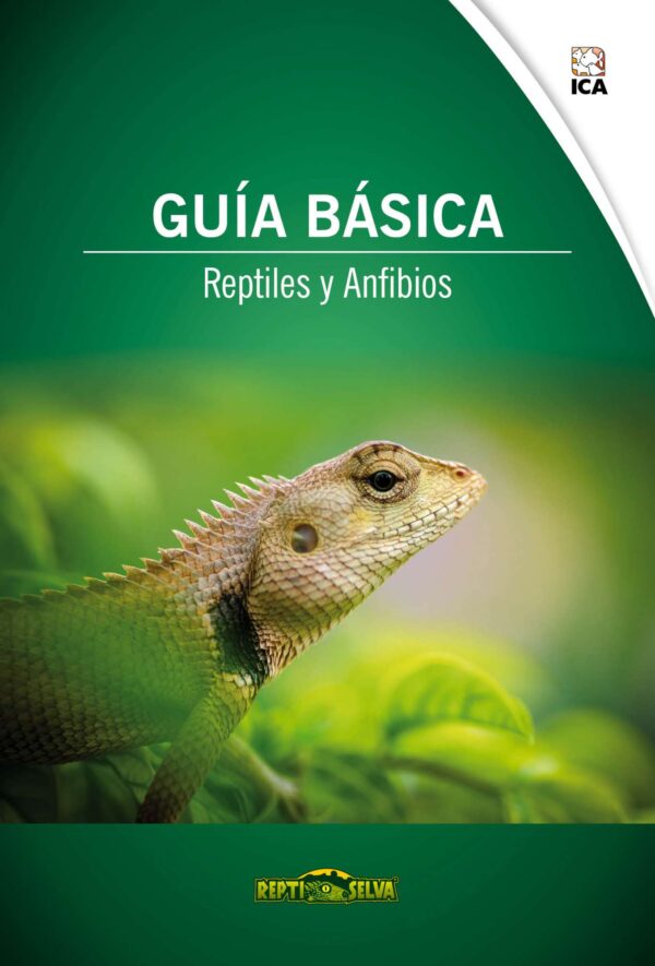 f12-guia-basica-de-reptiles-y-anfibios_general_9111.jpg