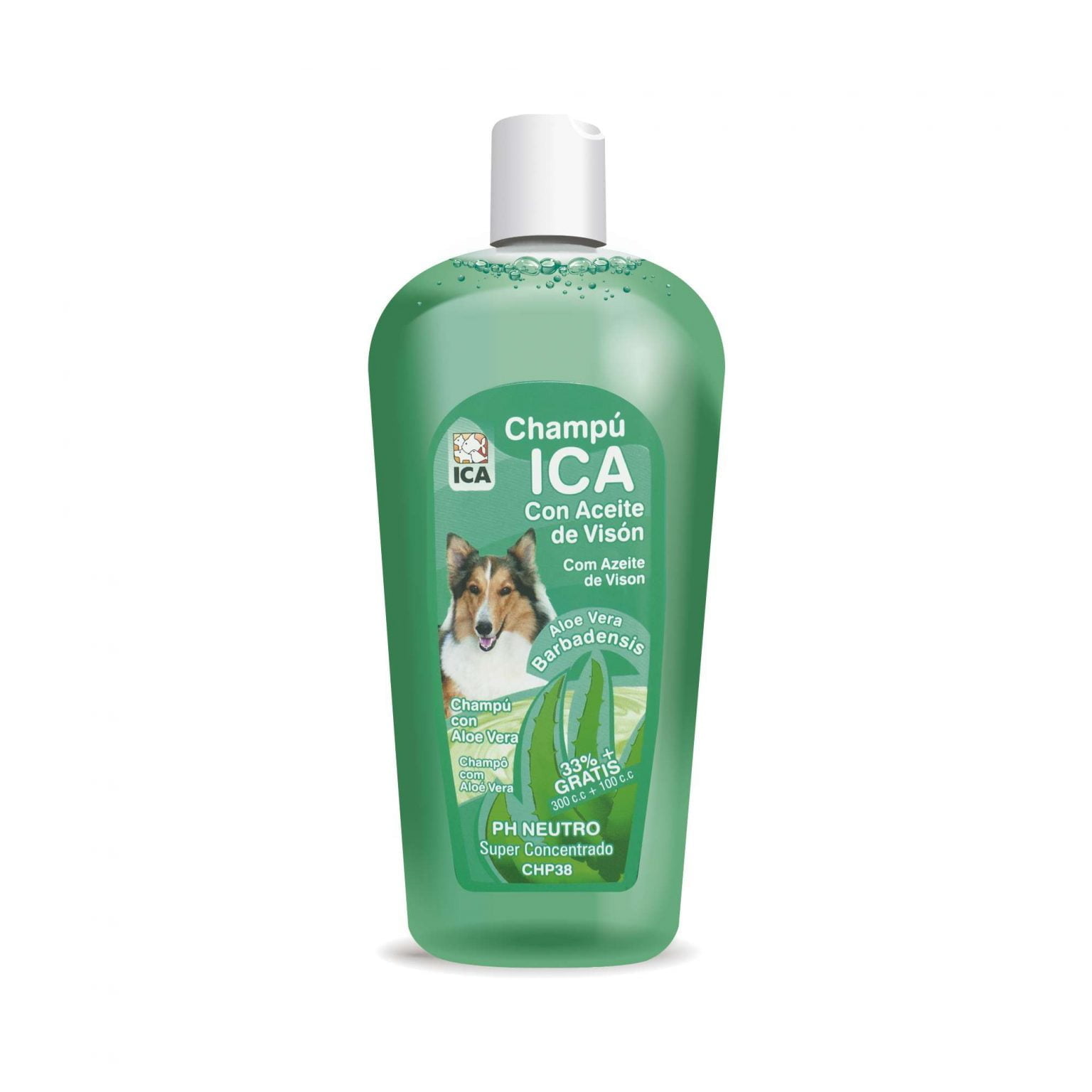 shampoo de aloe vera casero para perros