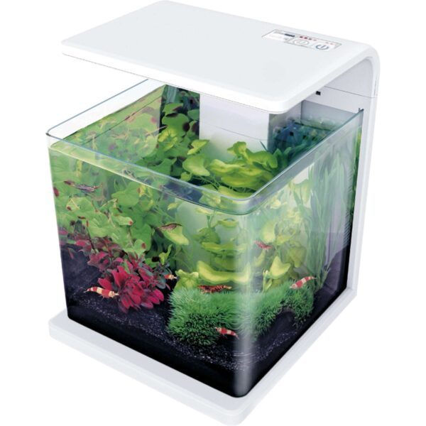 e15-nano-acuario-biotop-deluxe-natur-15-l_general_1714.jpg