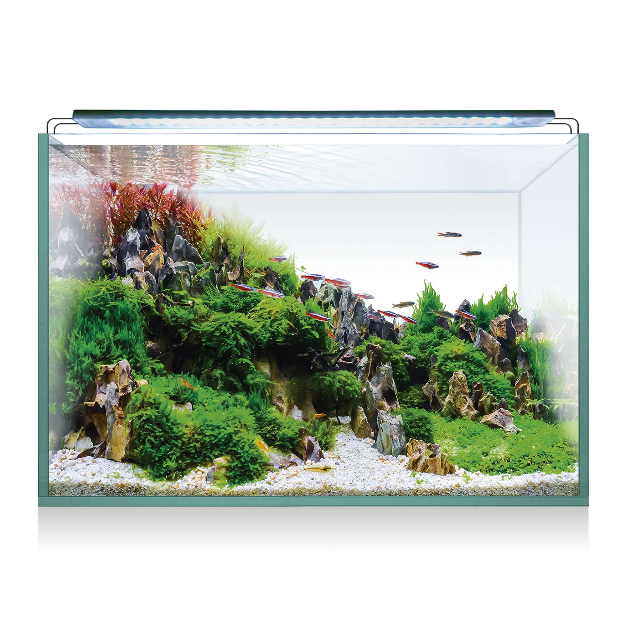 Kit AQUASCAPE RGB 45 (45 l) — ICA S.A.