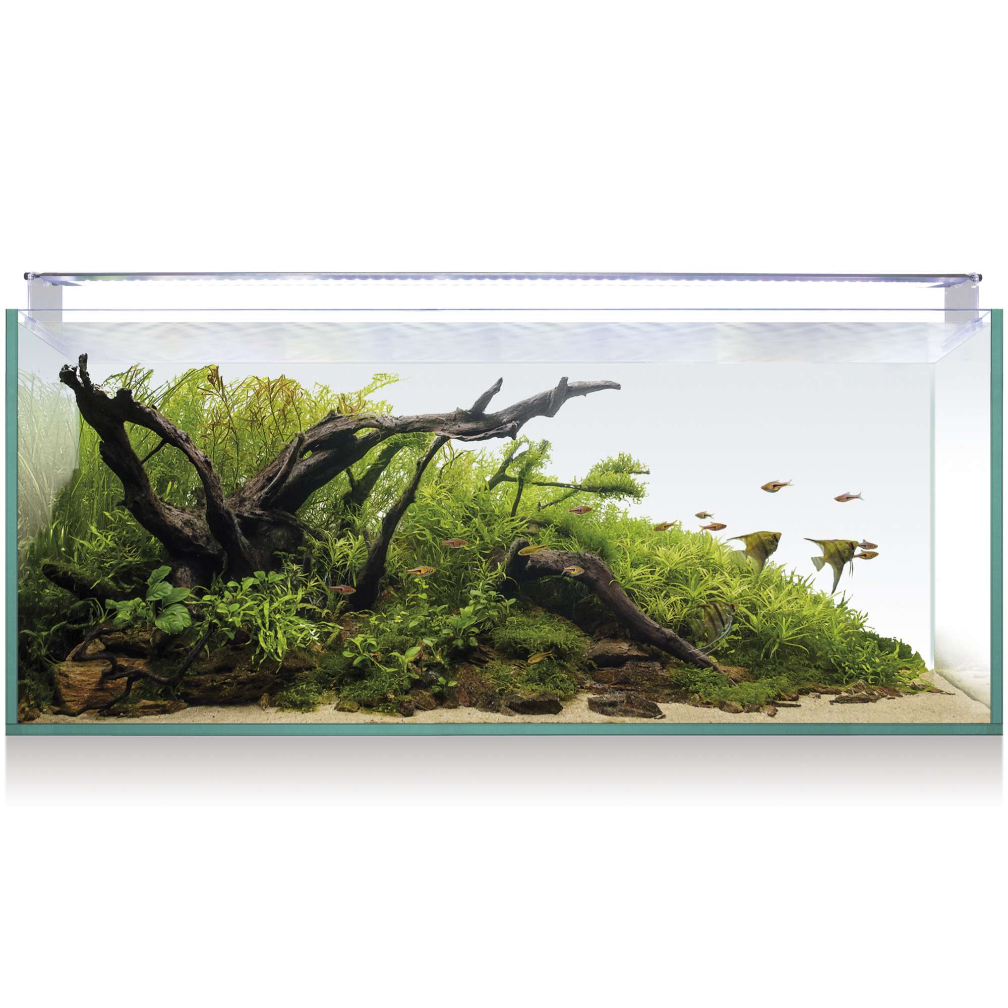 Kit AQUASCAPE RGB 130 (123 l) — ICA S.A.