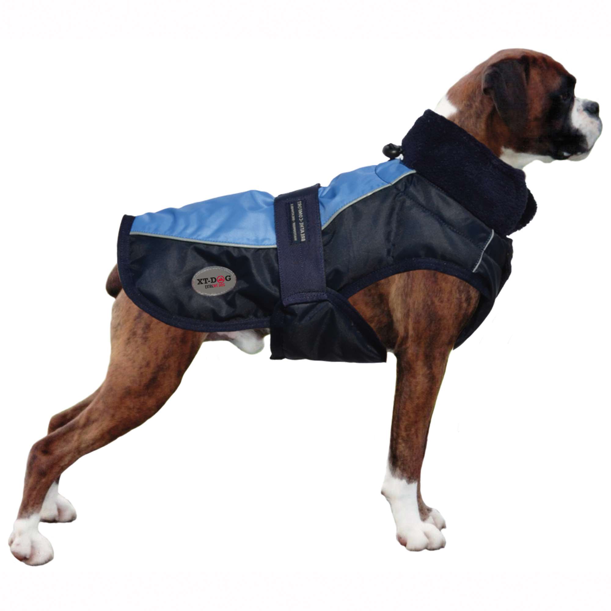Abrigo Sport XT-DOG — ICA S.A.