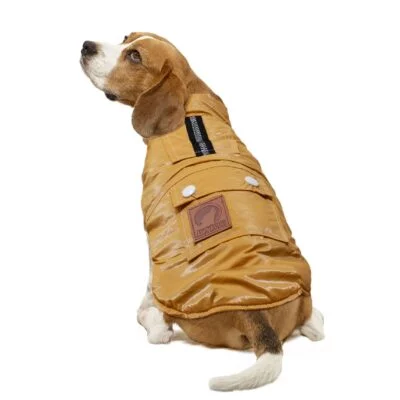 Abrigo metalizado mostaza de ALPHA DOG