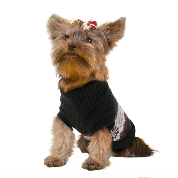 ab6120-jersey-invierno-negro-de-alpha-dog_general_11058.jpg