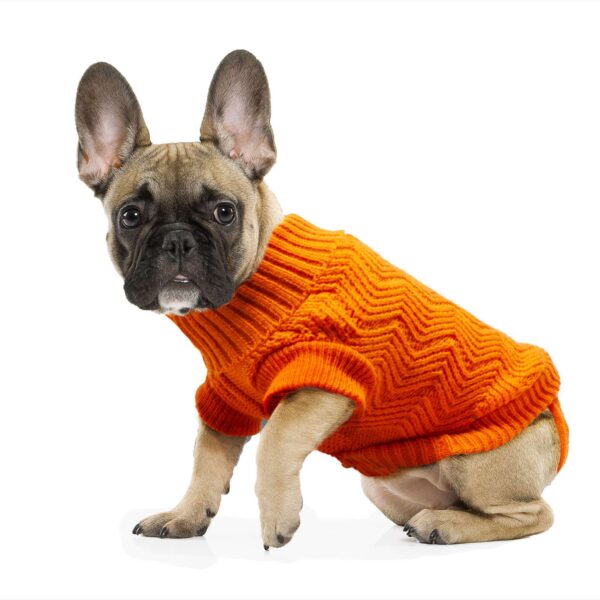 ab6320-jersey-zig-zag-naranja-de-alpha-dog_general_11100.jpg