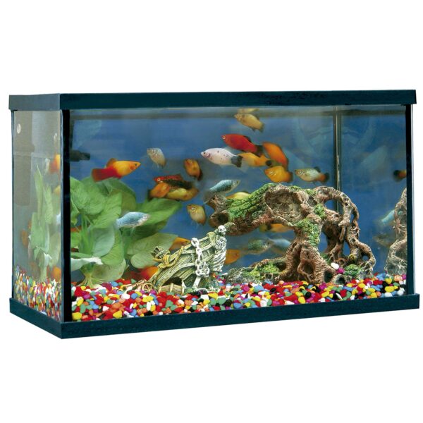 khp14-kit-acuario-happy-pez-14-l_general_2947.jpg