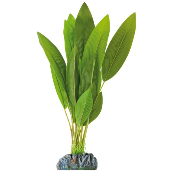 ap1006-anubias-de-aquatic-plants-plastico-30-cm_general_114.jpg