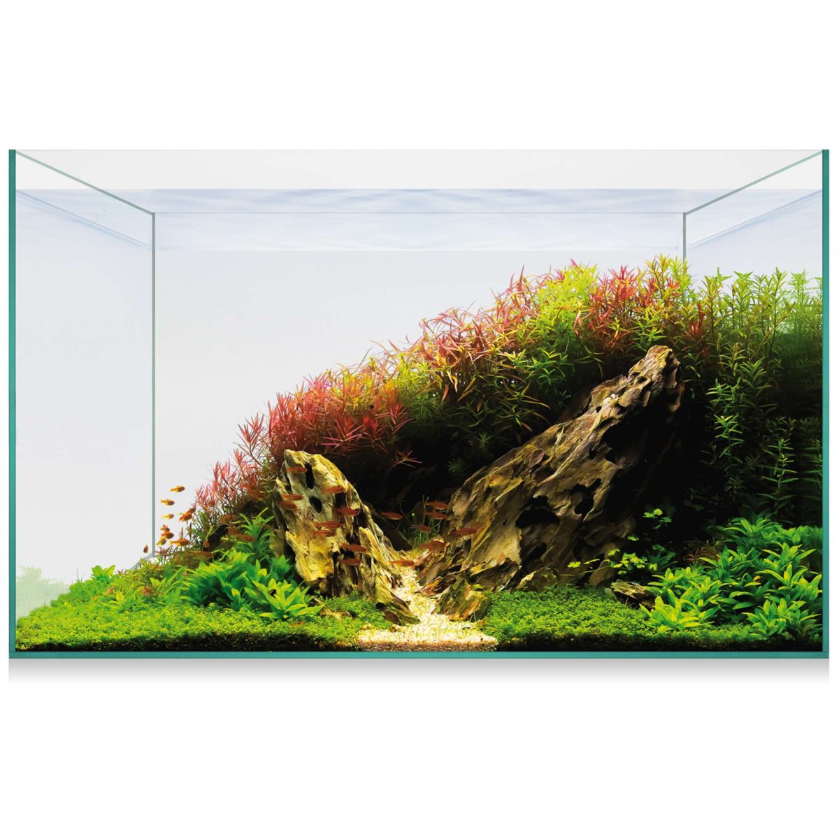 Urna Metacrilato ICA Kit Aquascape Basic 20 18 Ml De Segunda Mano