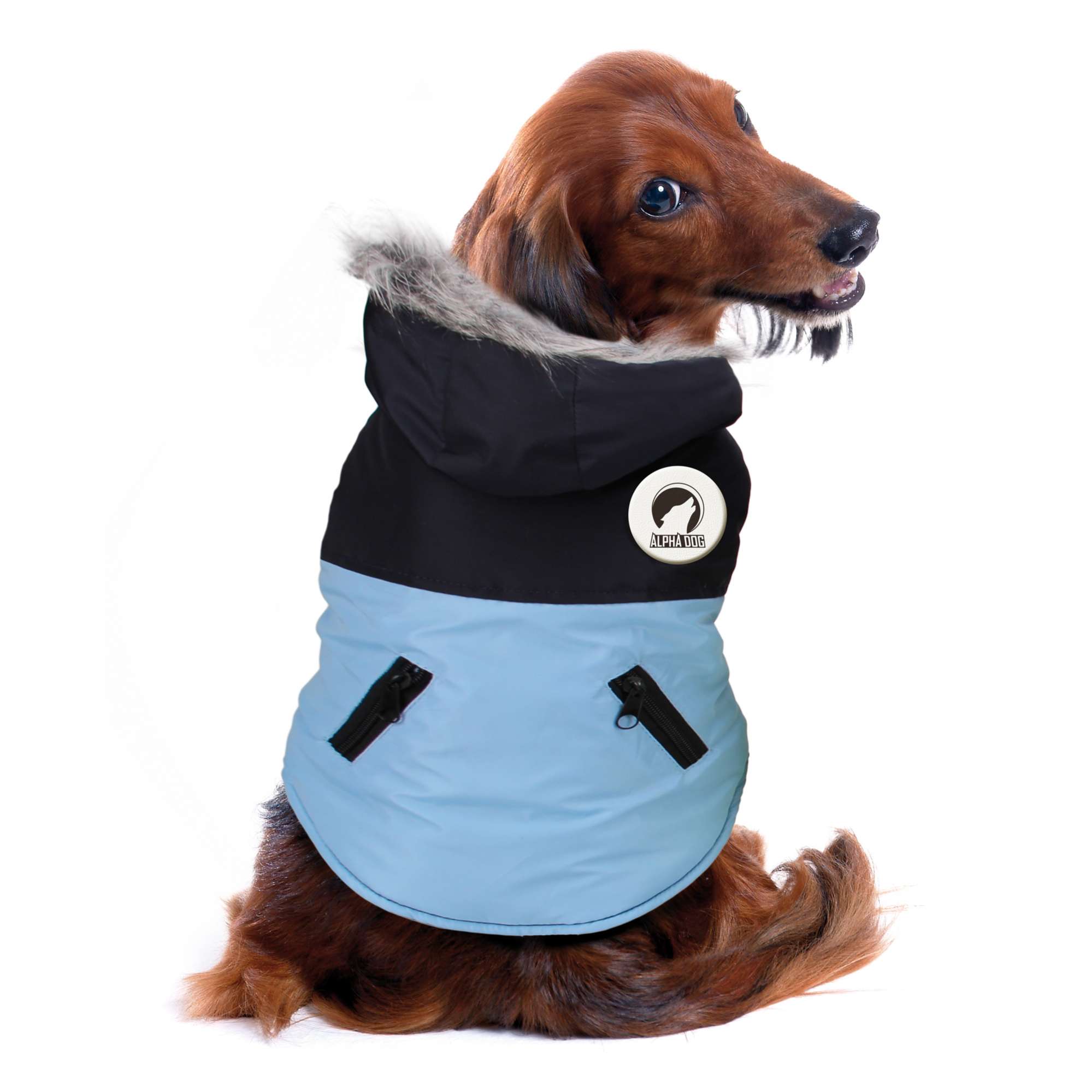 Petcee dog jacket deals