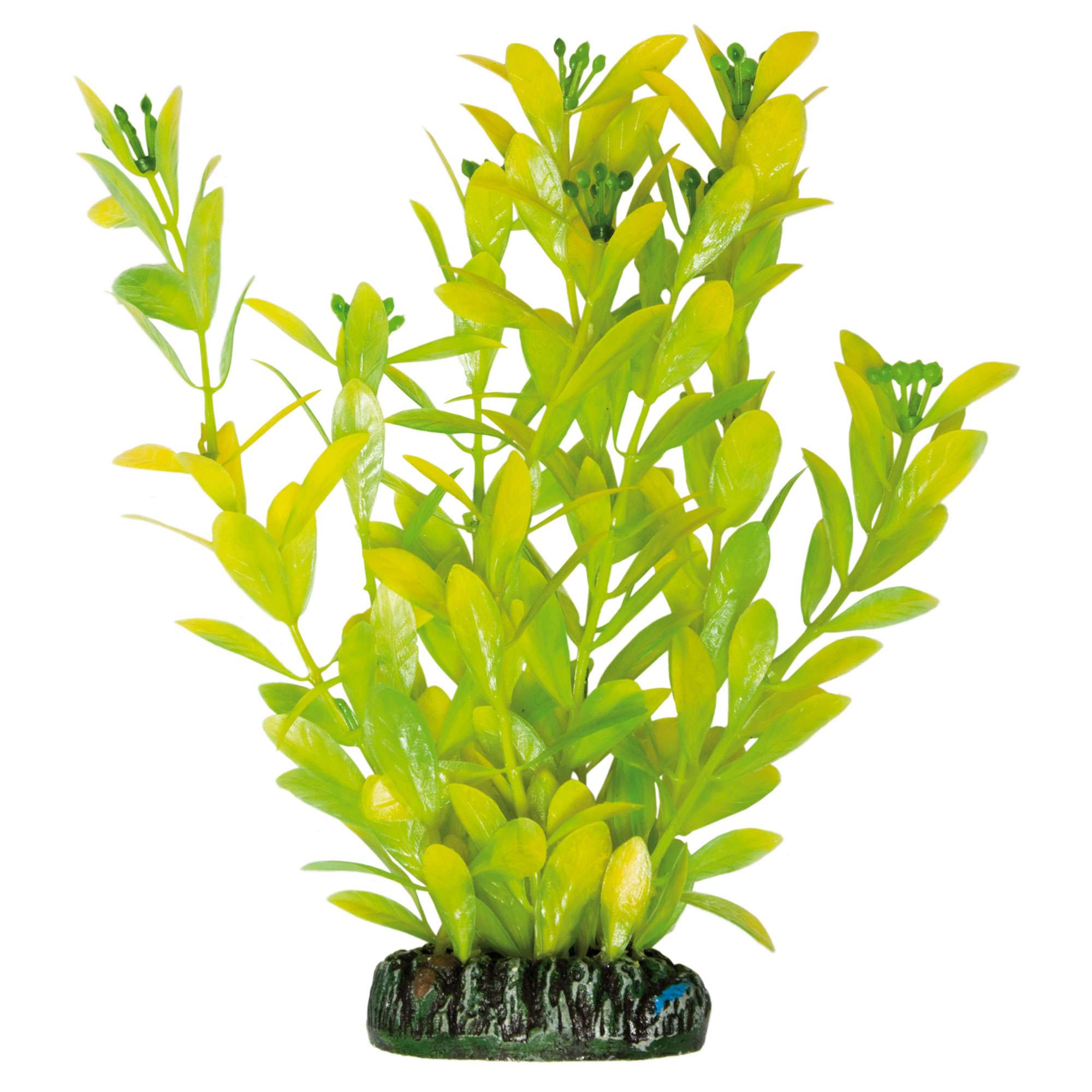 Hygrophila polysperma de AQUATIC PLANTS (PLÁSTICO) (20.5 cm) — ICA S.A.