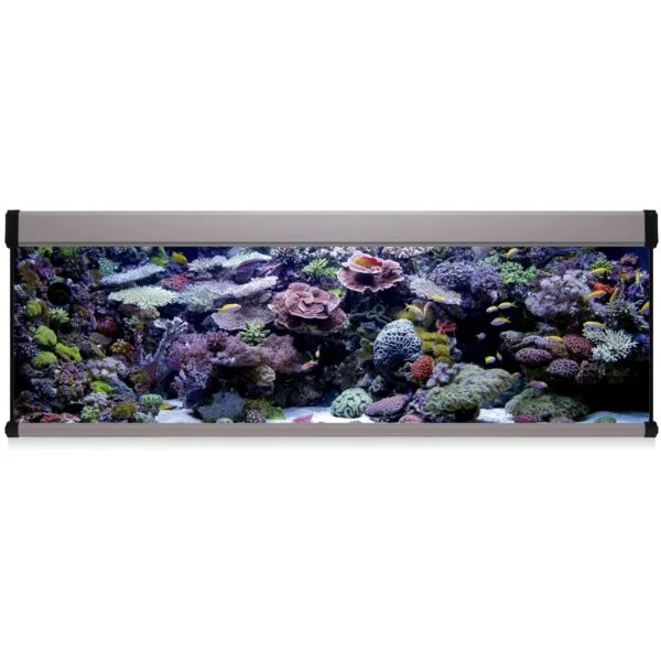 kxm600p-kit-aqua-lux-pro-600-con-filtro-exterior-600-l_general_9902.jpg kxm600p-kit-aqua-lux-pro-600-con-filtro-exterior-600-l_general_9902.jpg