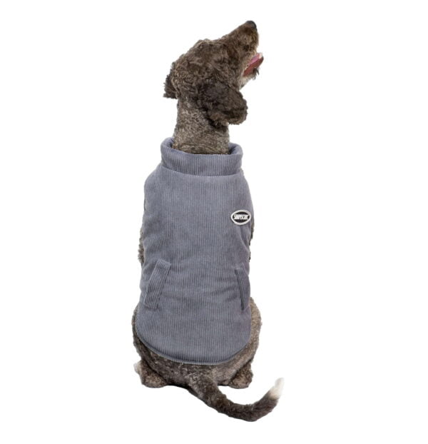 ab4220-abrigo-liso-gris-de-alpha-dog_general_12443.jpg