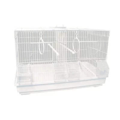 Jaulas de CRÍA fondo blanco para pájaros (58 cm)