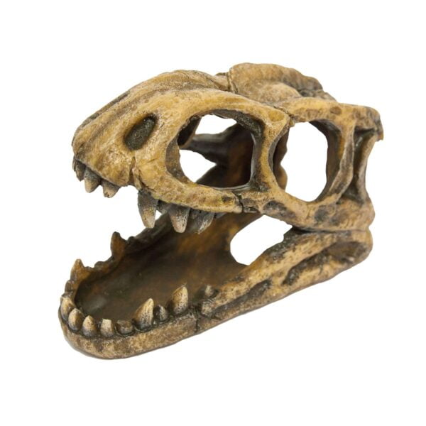 kr779-ornamento-con-cabeza-de-tiranosaurio-fosilizado-7-5-cm_general_3028.jpg
