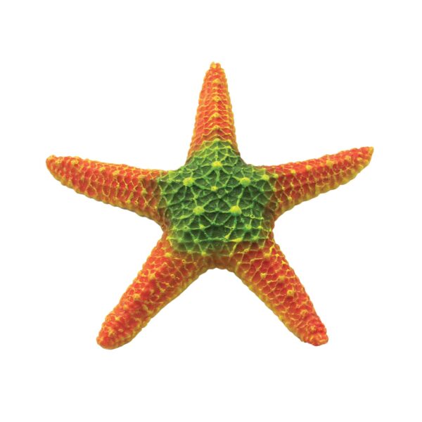 or206-estrella-de-mar-naranja-de-ica-18-5-cm_general_7075.jpg