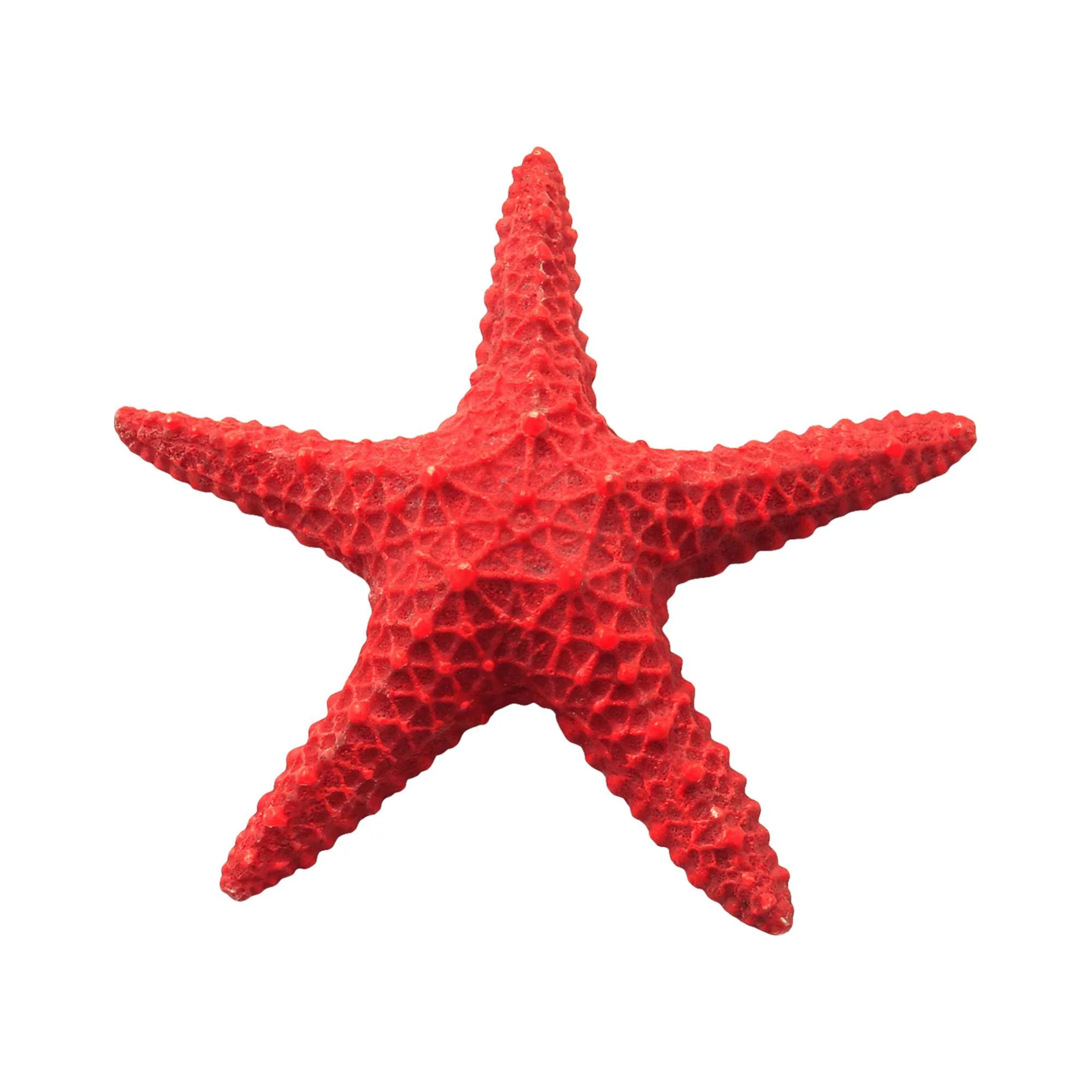 Estrella de mar roja de ICA (15.5 cm) — ICA S.A.