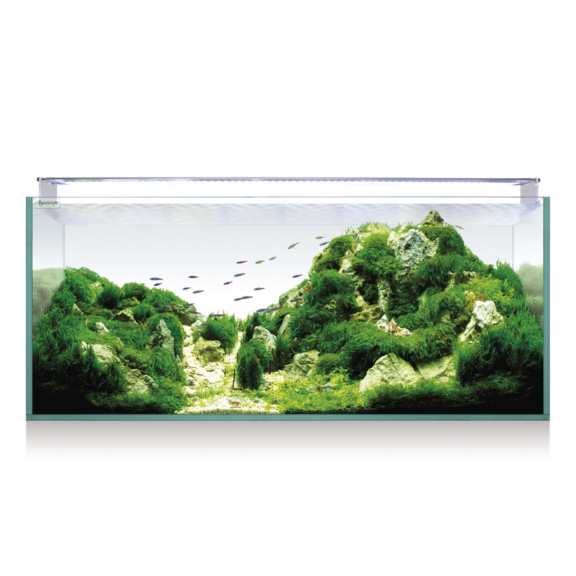 Kit AQUASCAPE RGB 100 (100 l) — ICA S.A.