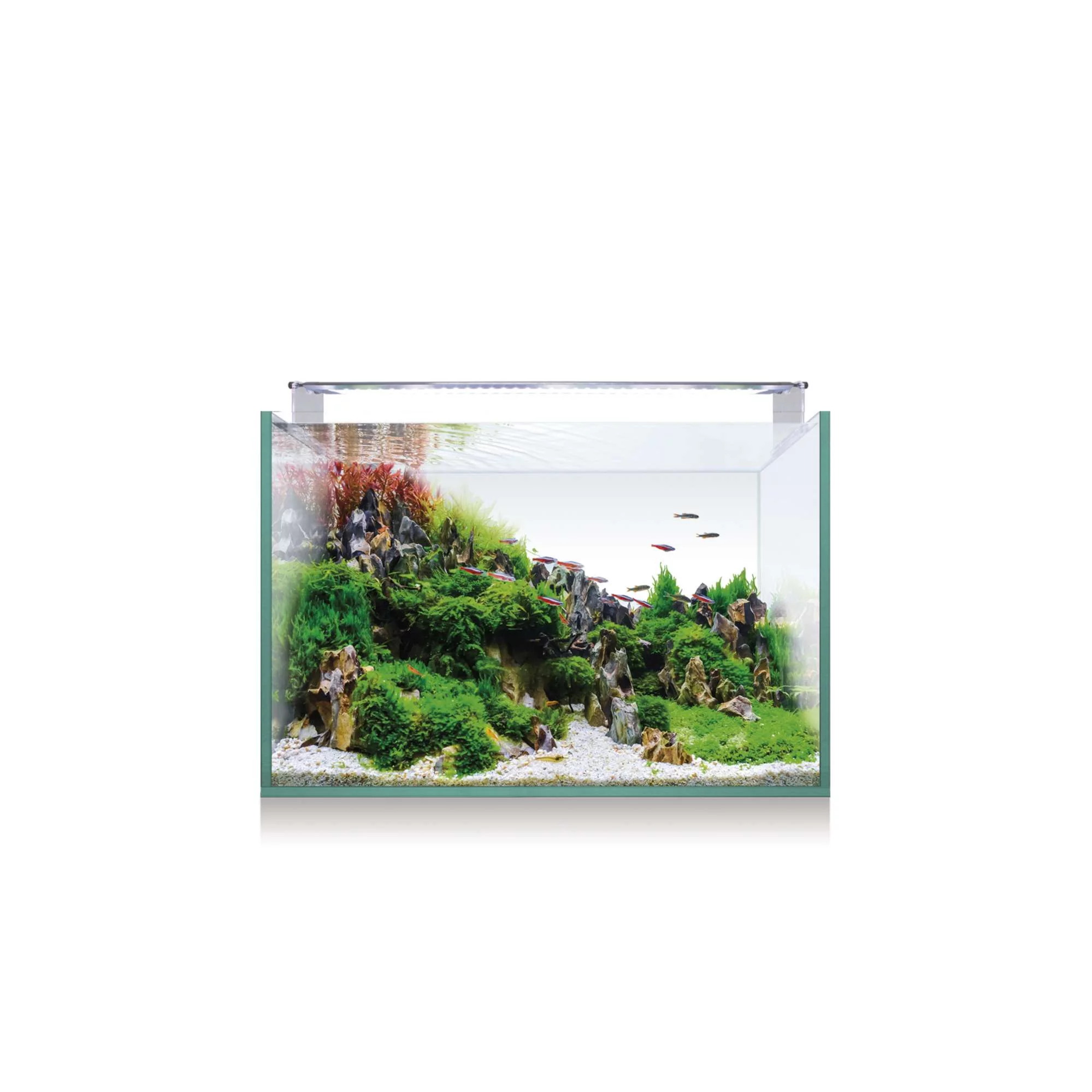 Aquascaping kit cheap