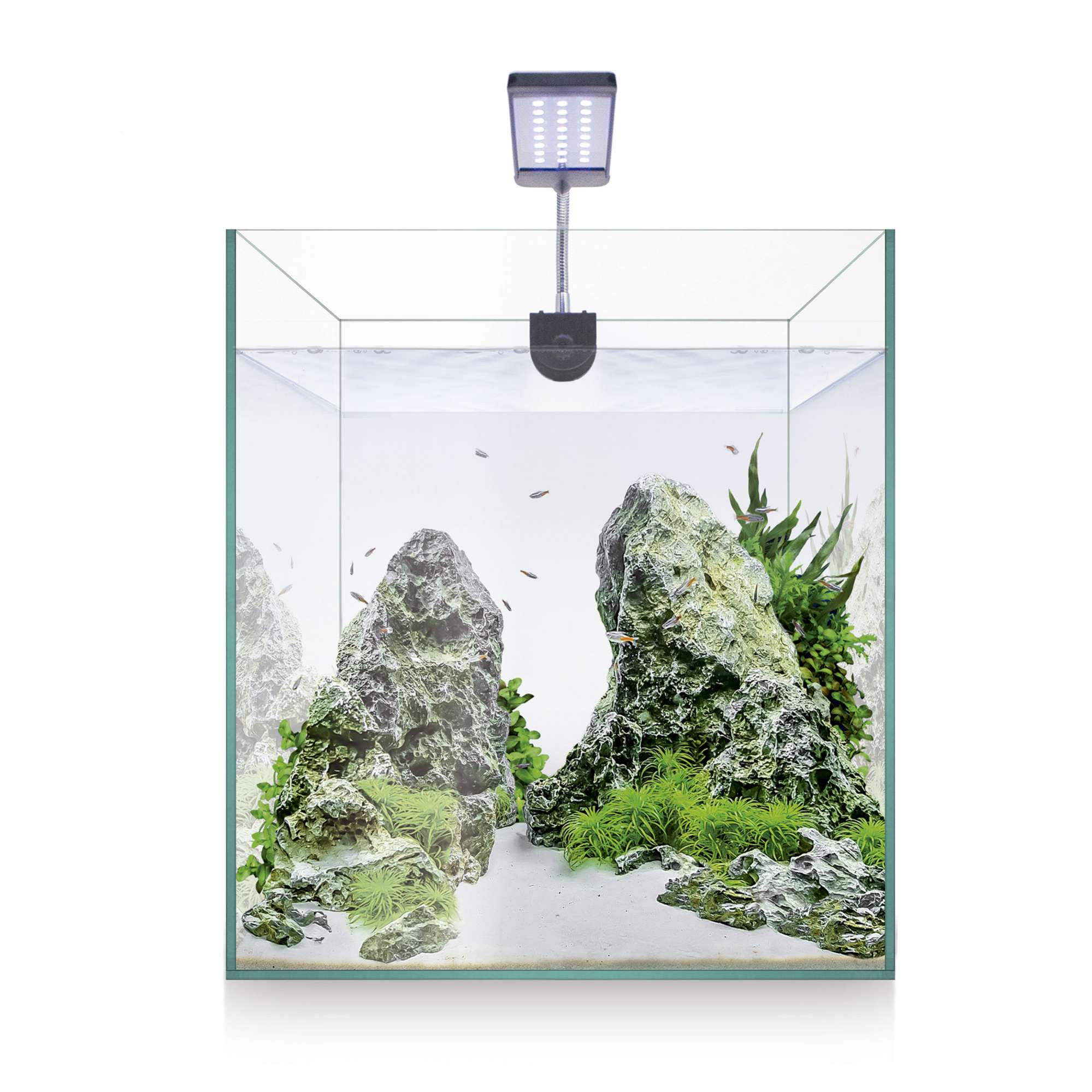 Transporte aliviar tanque Kit NANO AQUASCAPE RGB 10 (10 l) — ICA S.A.