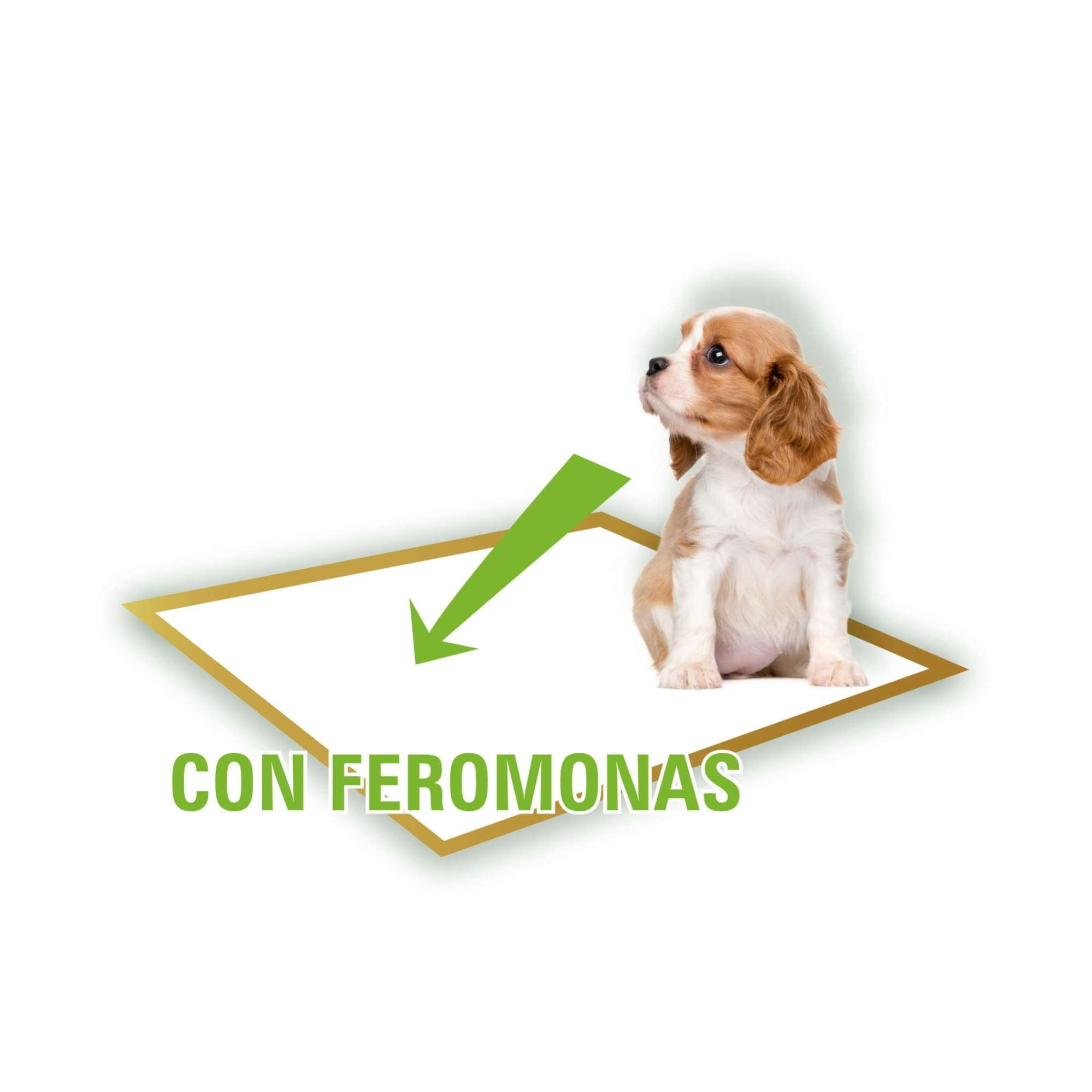 Empapador para perros – Universo Bambú