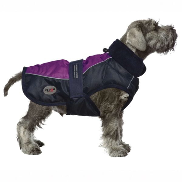 zd1025r-abrigo-sport-violeta-xt-dog_general_4585.jpg