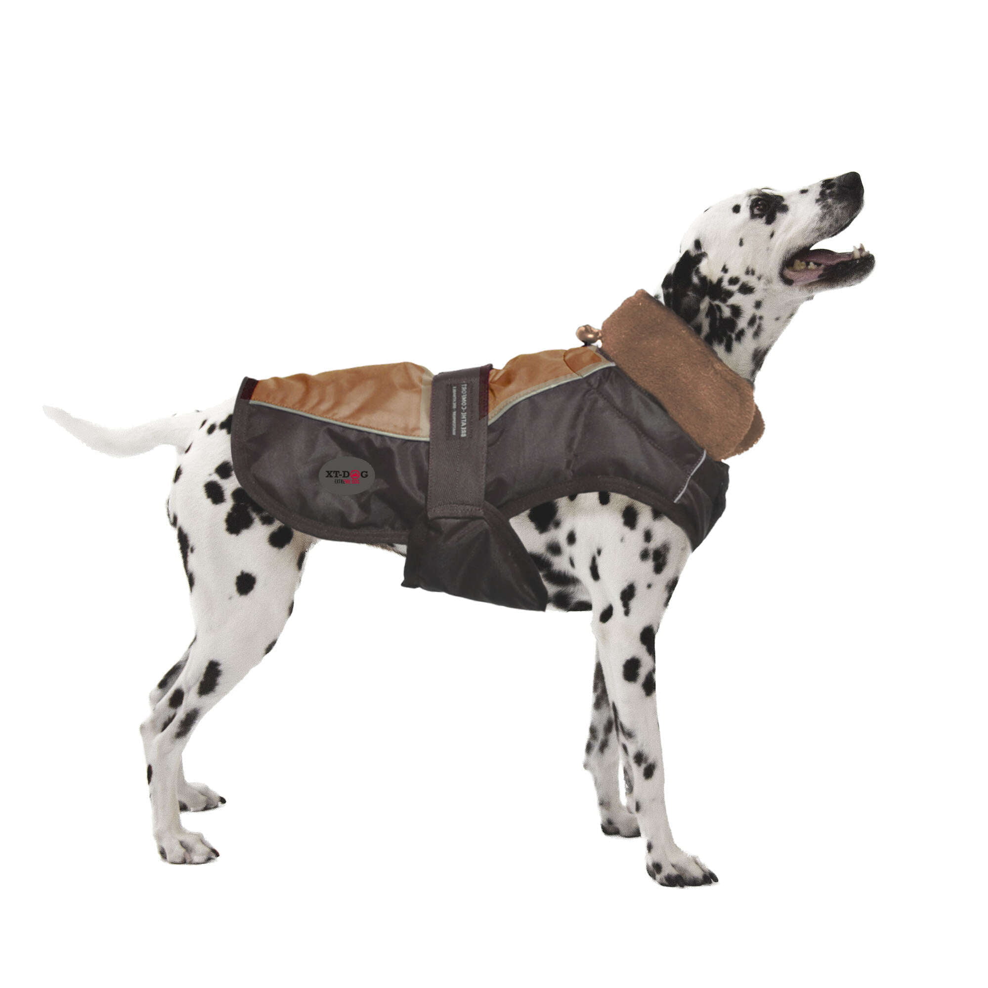 Abrigo Sport marrón XT-DOG — ICA S.A.