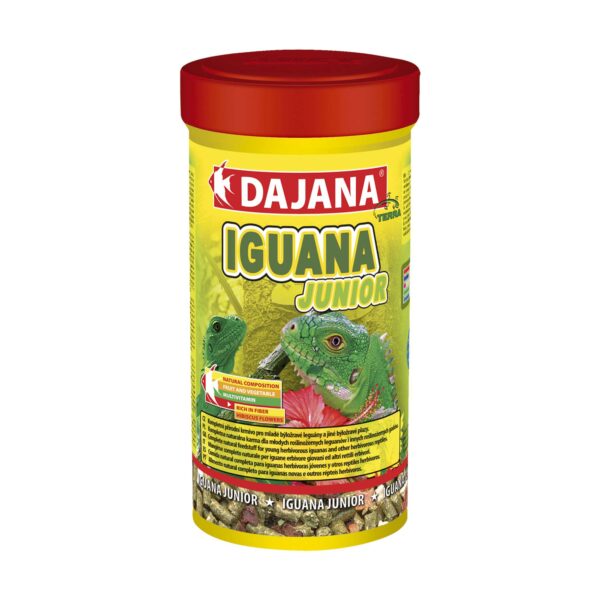 dj5272-alimento-iguana-junior-de-dajana_general_1210.jpg
