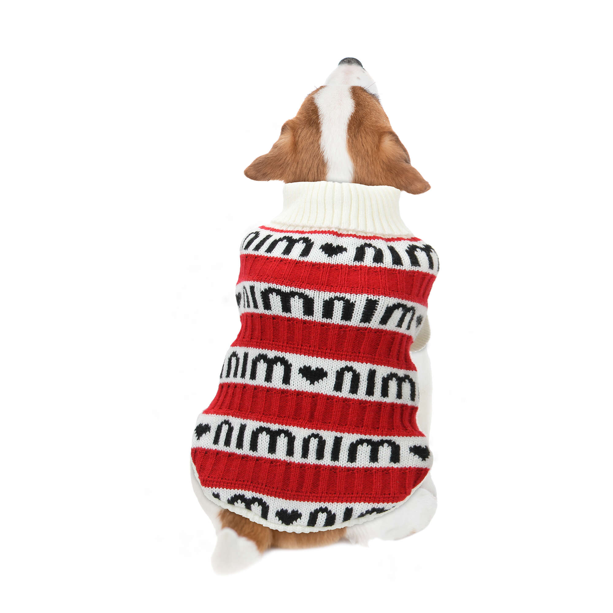 Jersey 'nimnim' de ALPHA DOG — ICA S.A.