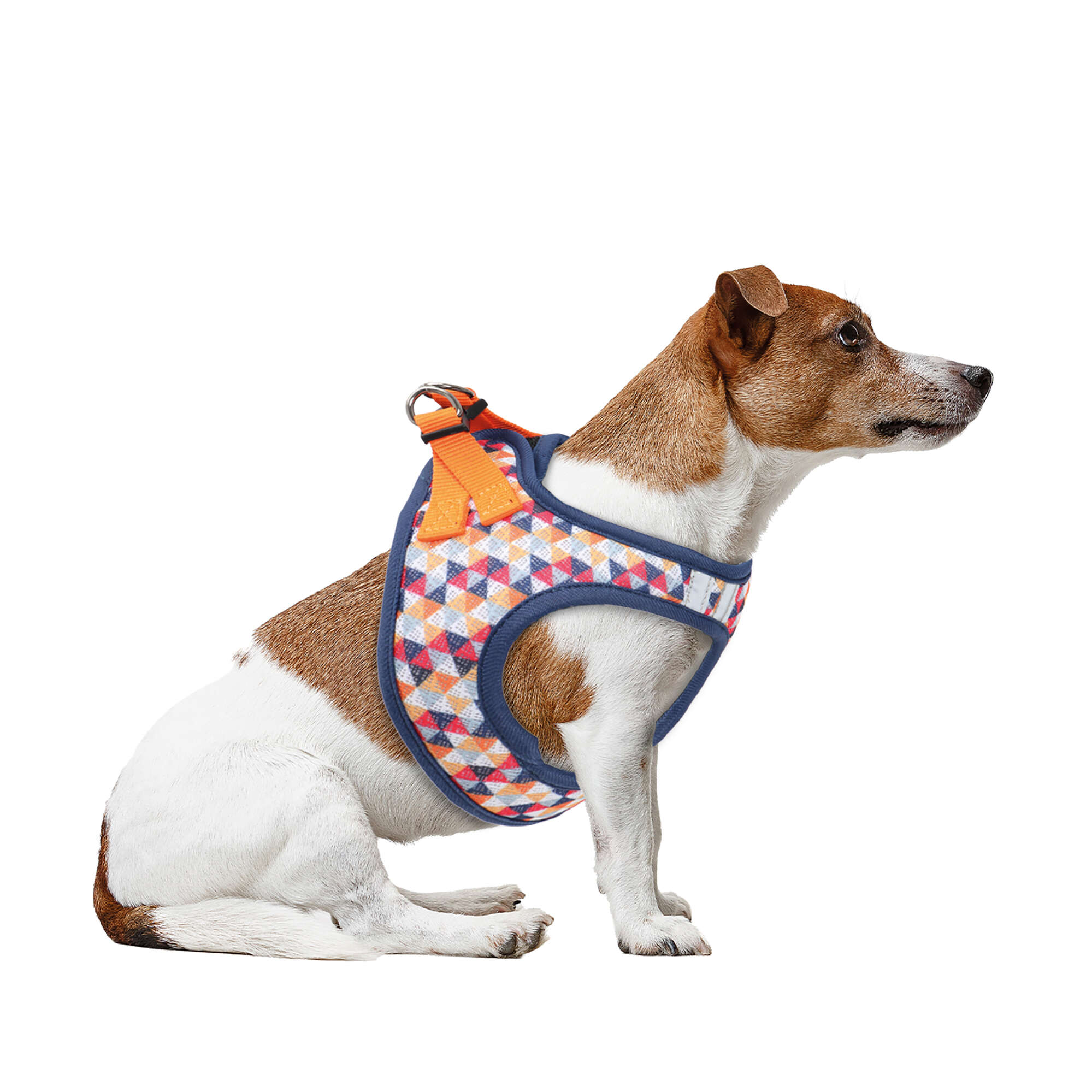 Arnés MESH TRIANGLES de XT-DOG — ICA S.A.