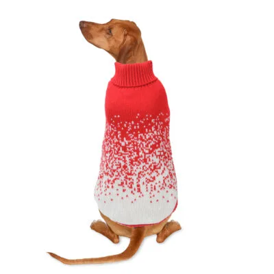 Jersey Confeti de ALPHA DOG