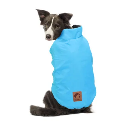 Anorak reversible turquesa / negro de ALPHA DOG