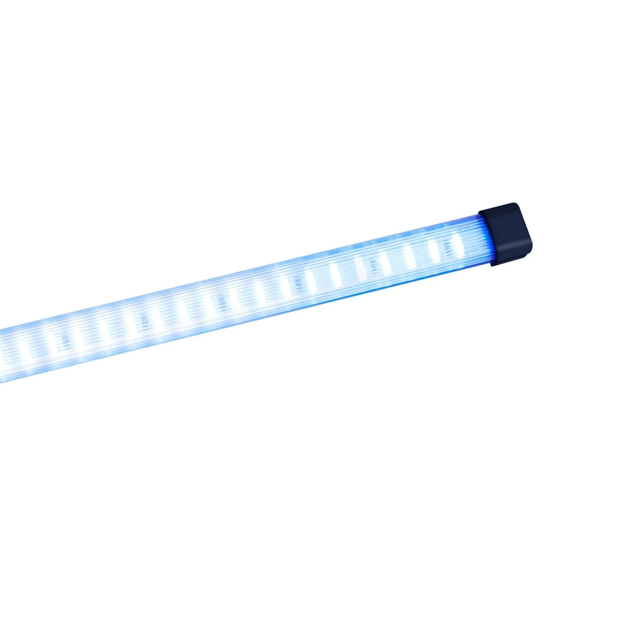lep30a-tira-led-azul-con-carcasa-rigida-plastica_general_5534.jpg lep30a-tira-led-azul-con-carcasa-rigida-plastica_general_5534.jpg