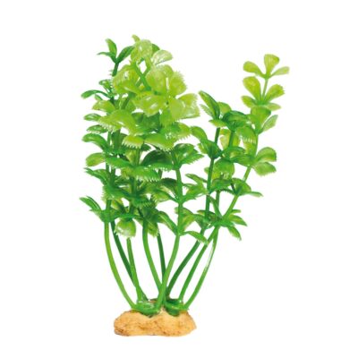Planta 'MAGIC PLANTS' modelo 3 (3 uds.)
