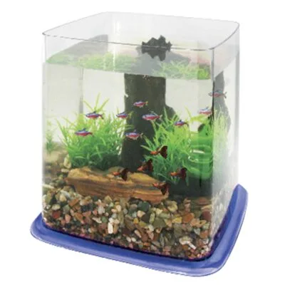 Bettera BETTA BATTLE PARADISE (6.4 l)