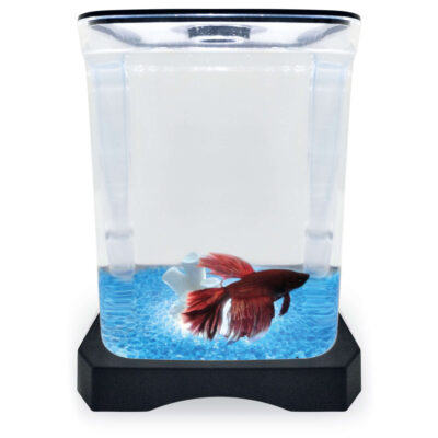 Kit betera negra con luz y decoración ICA (1.5 l)