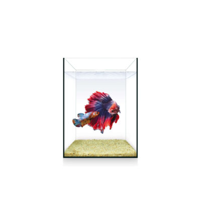 Urna NANO Nature (4 l)