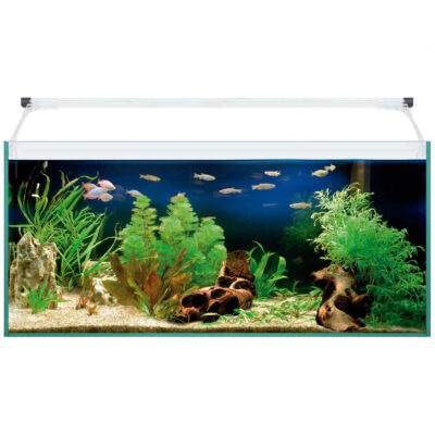 Kit AQUA LIGHT Glass 80 (76 l)