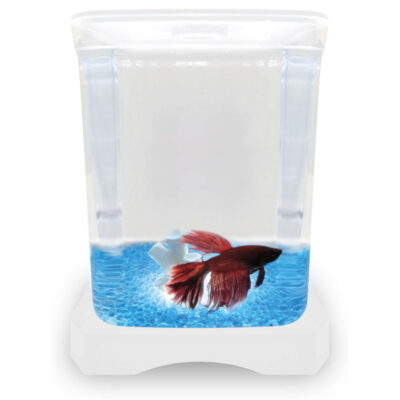 Kit betera blanca con luz y decoración ICA (1.5 l)