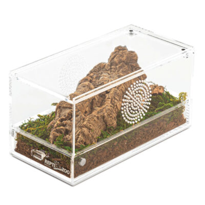 Mini terrario REPTIZOO (20x10x10 cm)