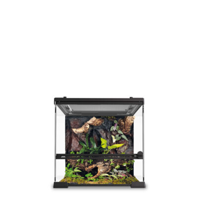 Kit terrario REPTIGLASS