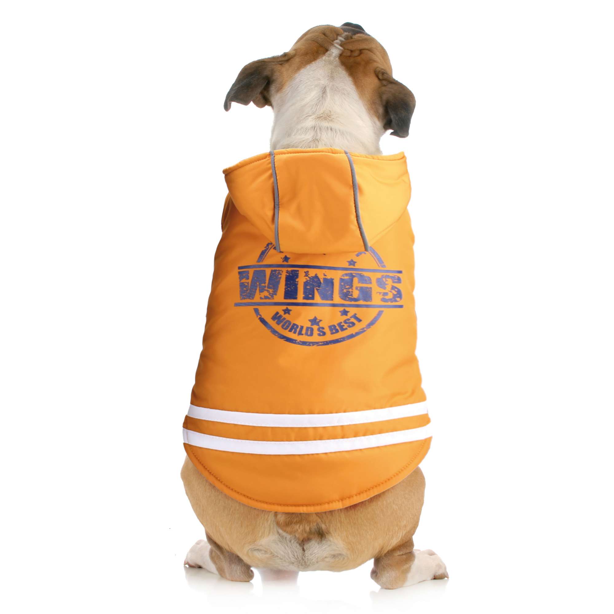ab1025-abrigo-wing-de-alpha-dog_general_6251.jpg ab1025-abrigo-wing-de-alpha-dog_general_6251.jpg