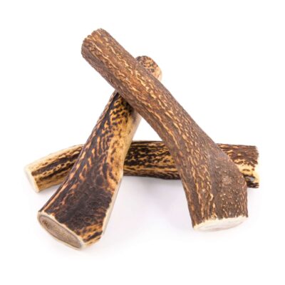 Asta de ciervo NutraDog Yummy